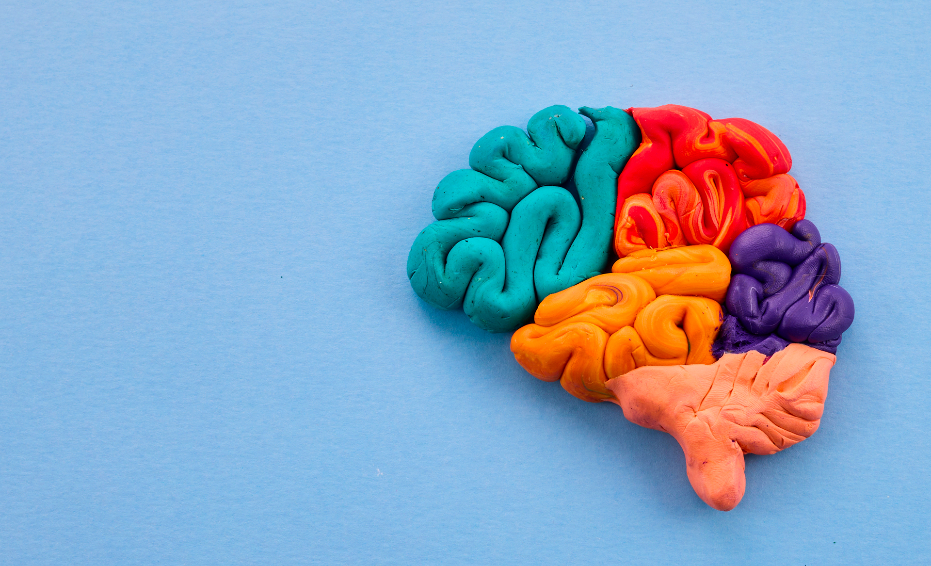 Rajeunissez votre cerveau : 5 clés pour avoir 10 ans de moins après 60 ans