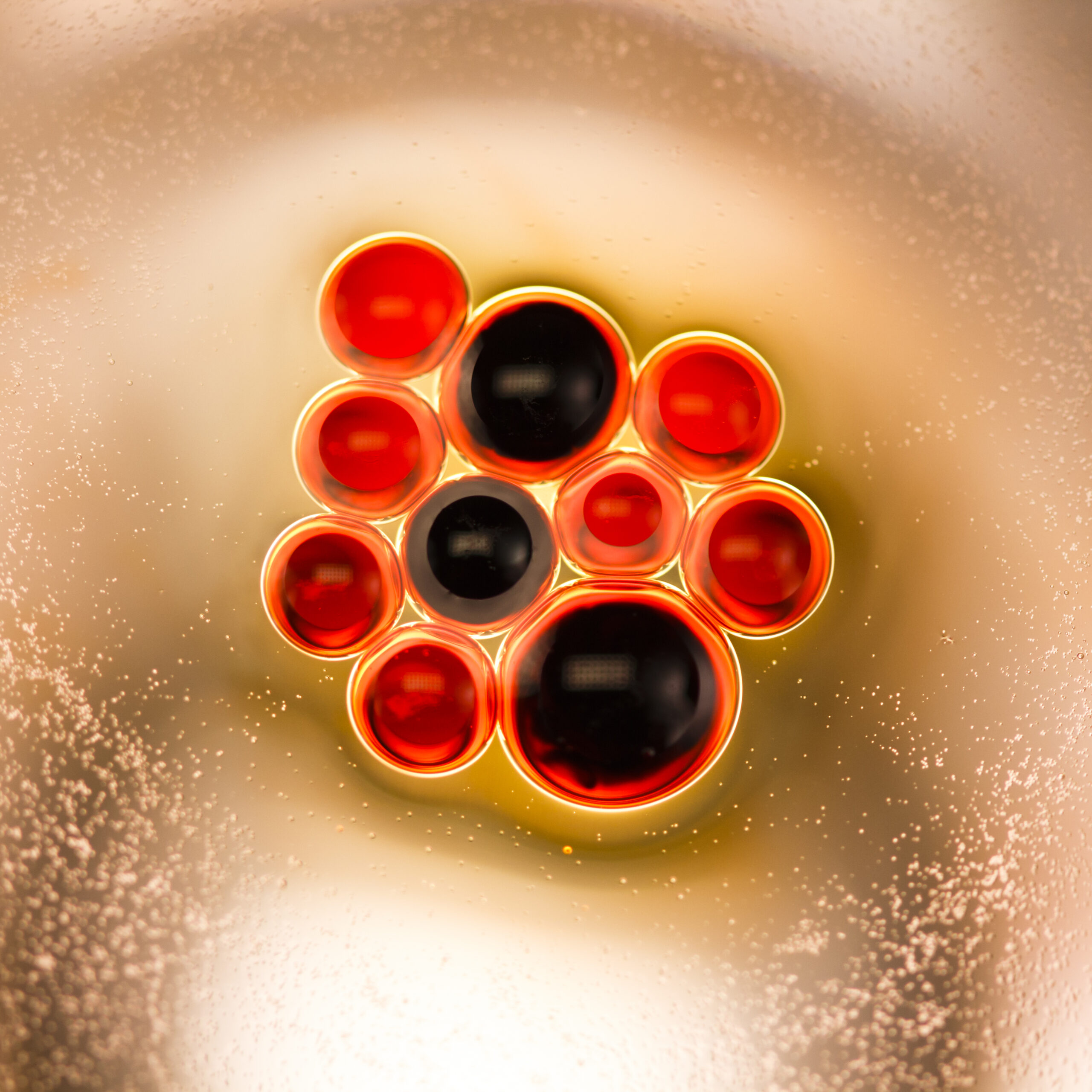 Cholestérol : et si le vrai danger venait d’ailleurs ?