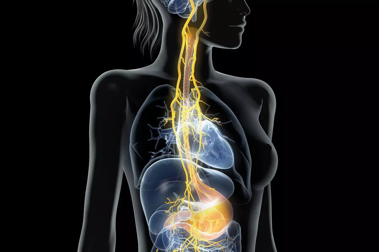 Soulager la douleur et l’inflammation sans médicament : activez votre nerf vague