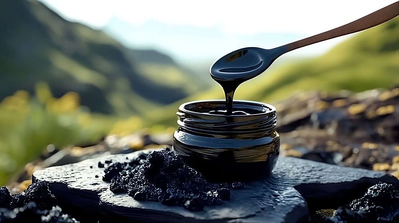 Shilajit : la résine mystique qui intrigue la science