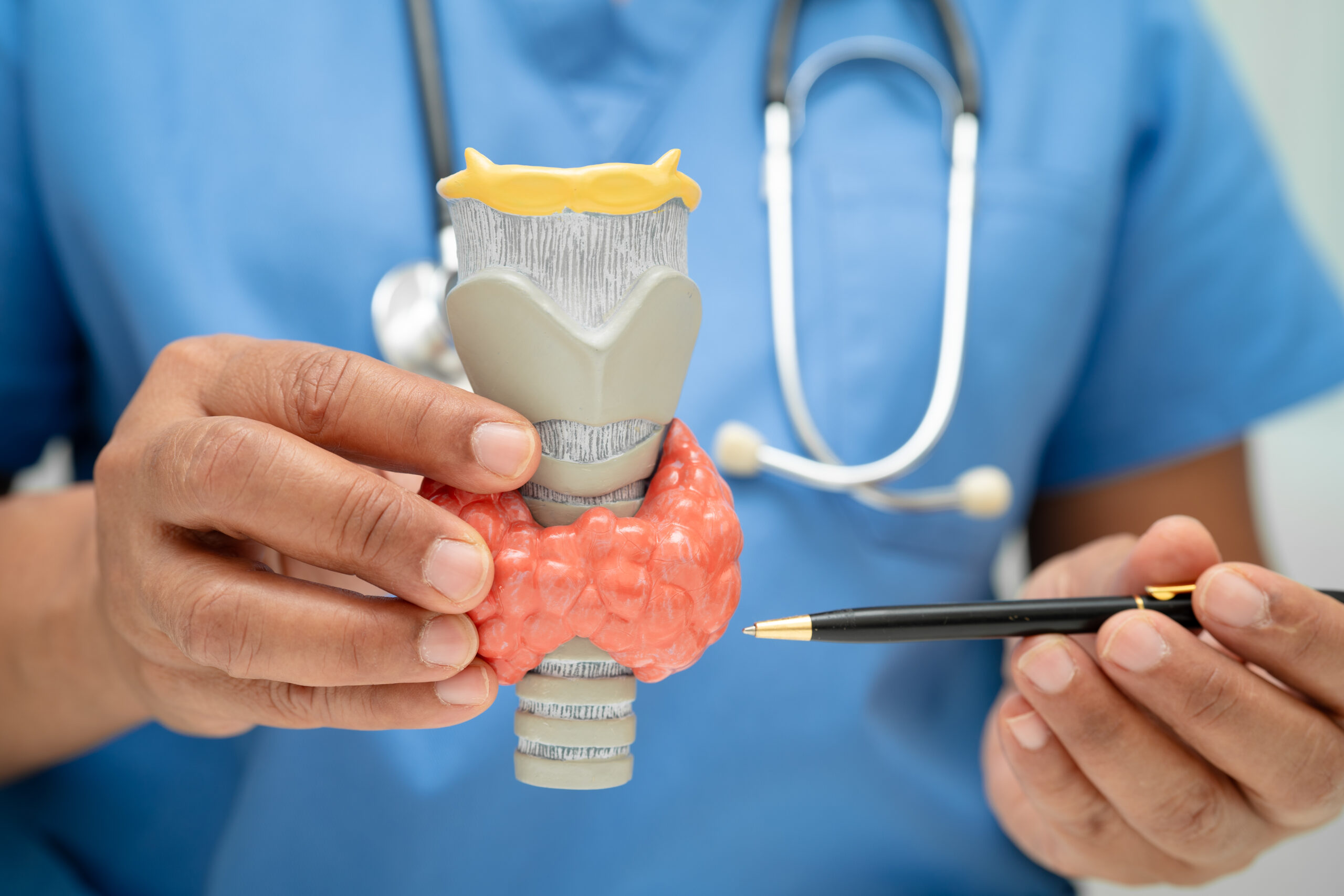 Si ce n’était pas Alzheimer ? mais la thyroïde !