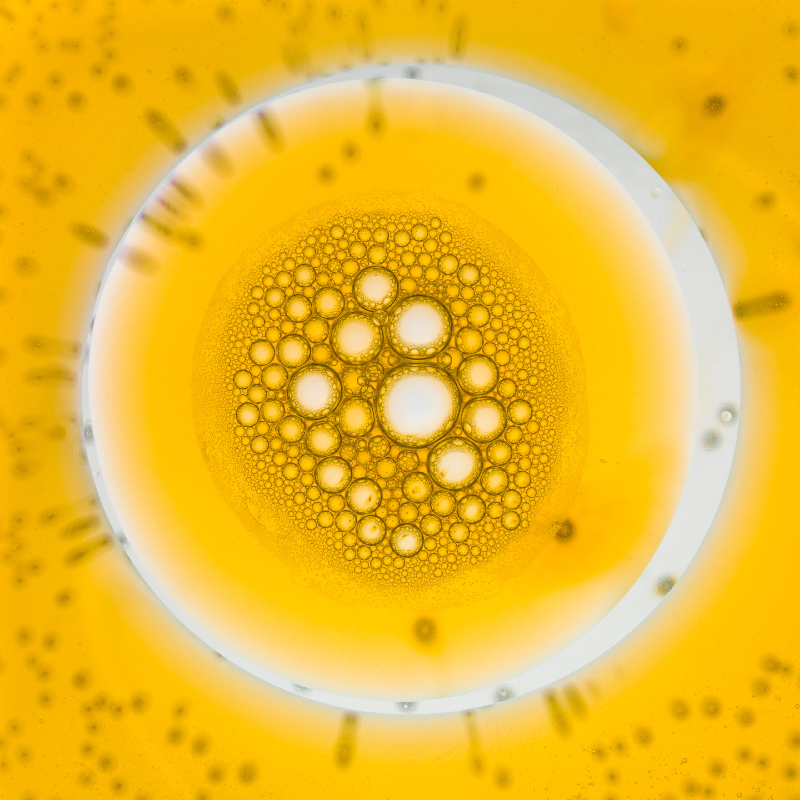 Vitamine D : l’arme incontournable contre les fractures