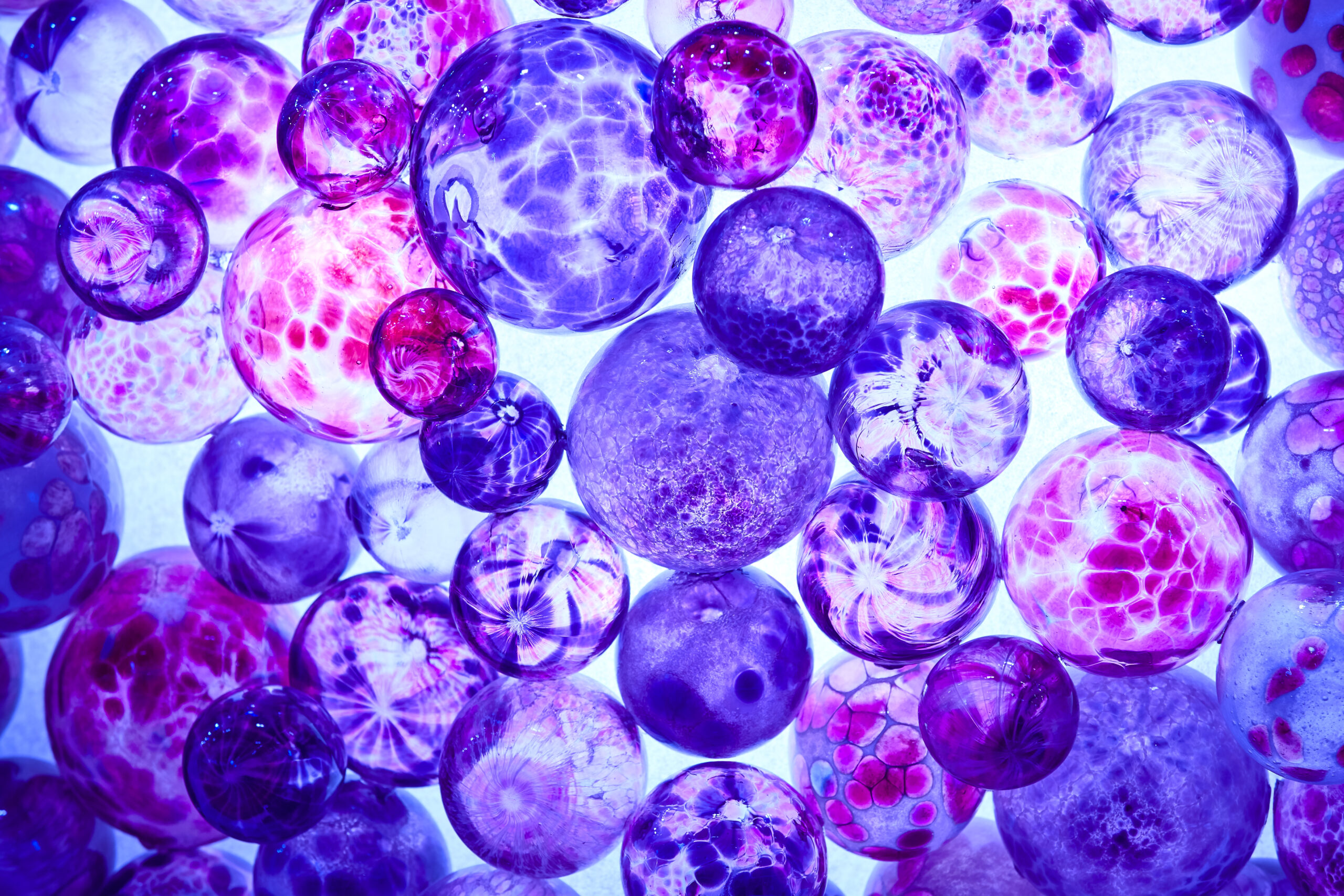 Vieillir autrement : la science redécouvre la clé de la longévité